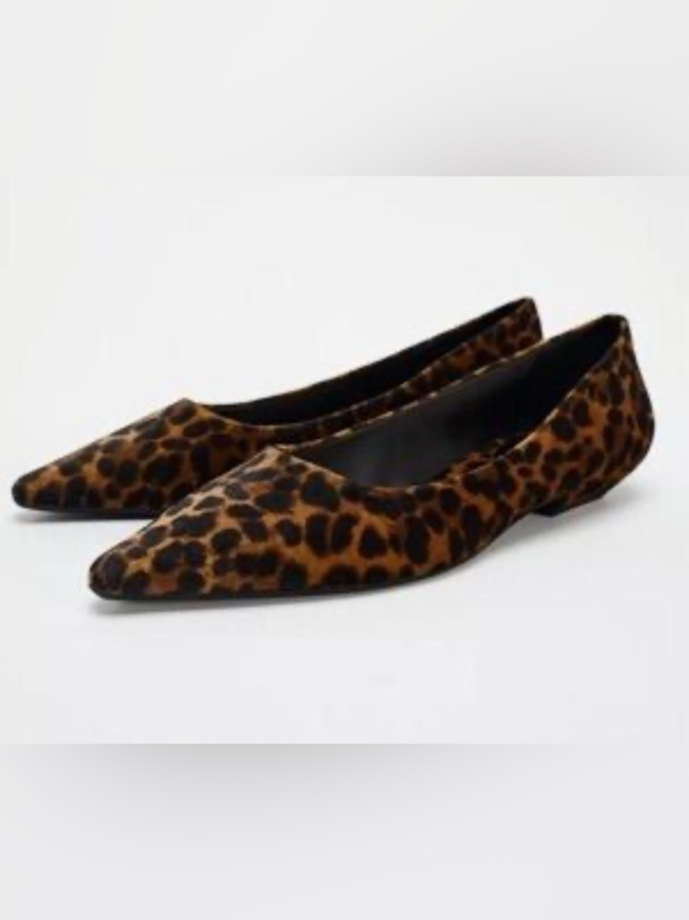 Pointed Toe Leopard-Print Women’s Flats